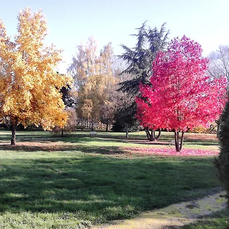 Enzo By Kyriad Direct * بونيوفيل