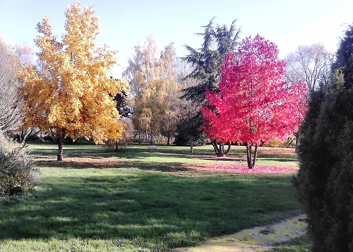 Enzo By Kyriad Direct * Bulgnéville